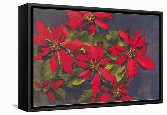 Pointsettias-null-Framed Stretched Canvas