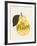 Poire-Clara Wells-Framed Giclee Print