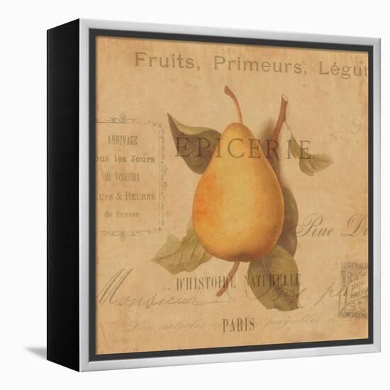 Poire-Deborah Devellier-Framed Stretched Canvas