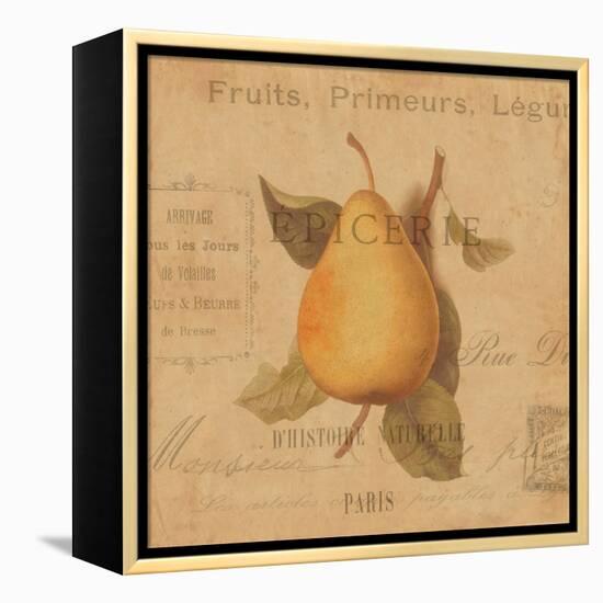 Poire-Deborah Devellier-Framed Stretched Canvas