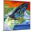 Poised Butterfly II-Carolee Vitaletti-Mounted Art Print