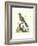 Poised in Nature II-George Edwards-Framed Art Print