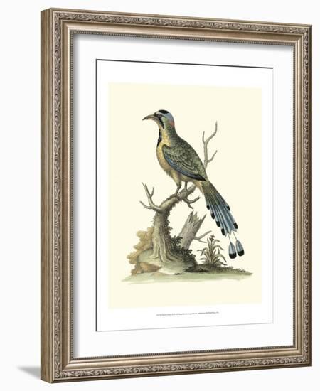 Poised in Nature II-George Edwards-Framed Art Print