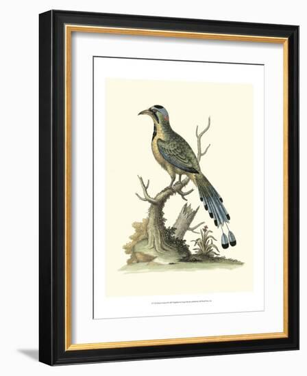 Poised in Nature II-George Edwards-Framed Art Print