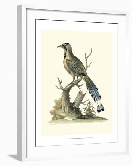 Poised in Nature II-George Edwards-Framed Art Print