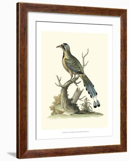 Poised in Nature II-George Edwards-Framed Art Print