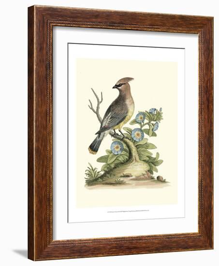 Poised in Nature III-George Edwards-Framed Art Print