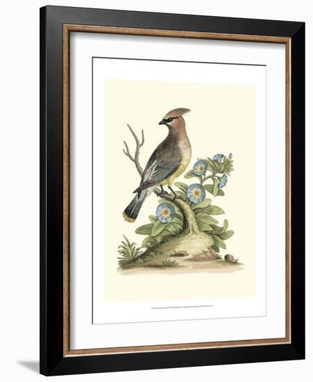 Poised in Nature III-George Edwards-Framed Art Print