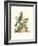 Poised in Nature III-George Edwards-Framed Art Print