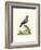 Poised in Nature IV-George Edwards-Framed Art Print