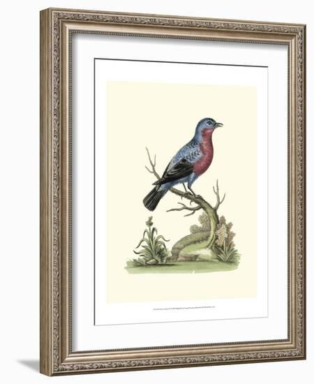 Poised in Nature IV-George Edwards-Framed Art Print