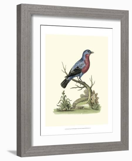 Poised in Nature IV-George Edwards-Framed Art Print