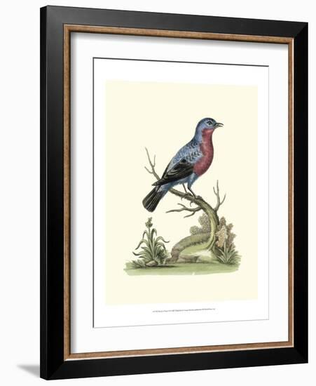 Poised in Nature IV-George Edwards-Framed Art Print