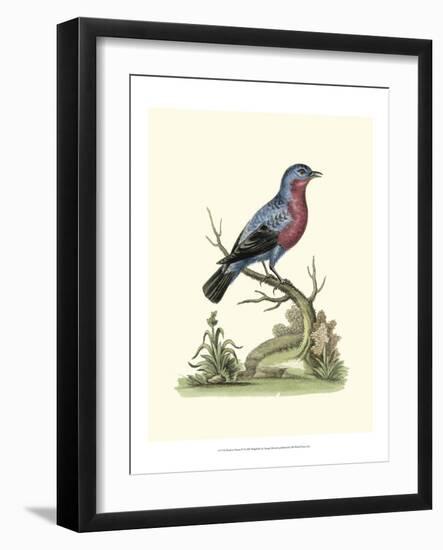 Poised in Nature IV-George Edwards-Framed Art Print