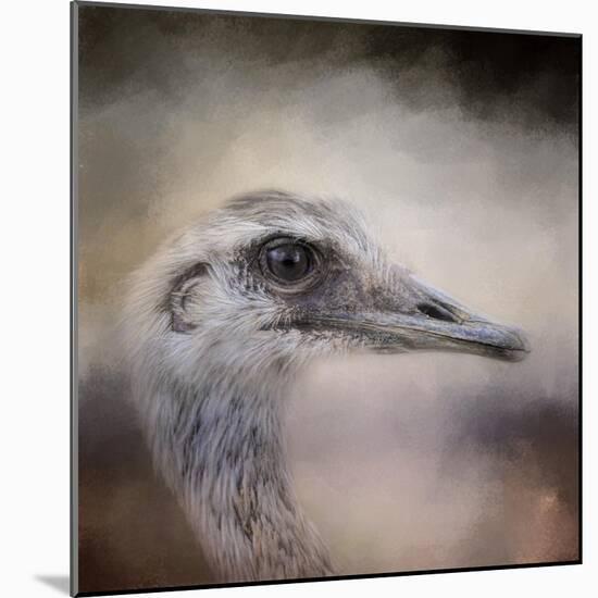 Poised Ostrich-Jai Johnson-Mounted Giclee Print