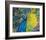 Poised Peacock #2-null-Framed Premium Giclee Print