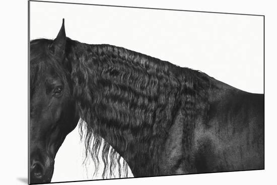 Poised-Irene Suchocki-Mounted Giclee Print