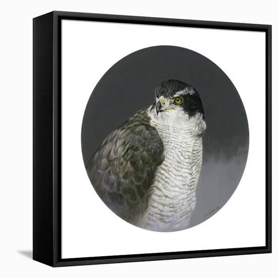 Poised-Joh Naito-Framed Premier Image Canvas