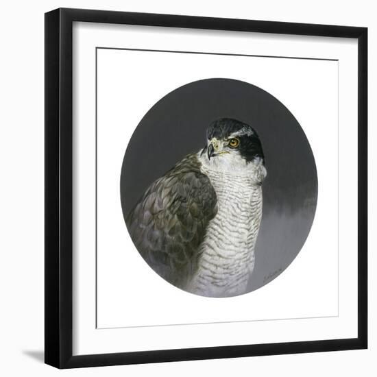 Poised-Joh Naito-Framed Giclee Print