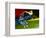 Poison Dart Frog on Red Leaf, Republic of Surinam-Jim Zuckerman-Framed Photographic Print