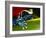 Poison Dart Frog on Red Leaf, Republic of Surinam-Jim Zuckerman-Framed Photographic Print