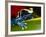 Poison Dart Frog on Red Leaf, Republic of Surinam-Jim Zuckerman-Framed Photographic Print