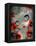 Poisonous Beauties III: Opium Poppy-Jasmine Becket-Griffith-Framed Stretched Canvas