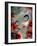 Poisonous Beauties III: Opium Poppy-Jasmine Becket-Griffith-Framed Art Print