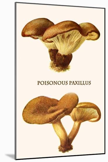 Poisonous Paxillus-Edmund Michael-Mounted Art Print