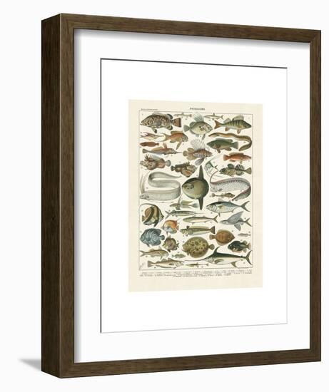 Poissons I-Adolphe Millot-Framed Art Print