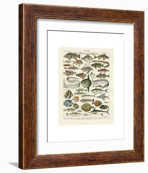 Poissons I-Adolphe Millot-Framed Art Print