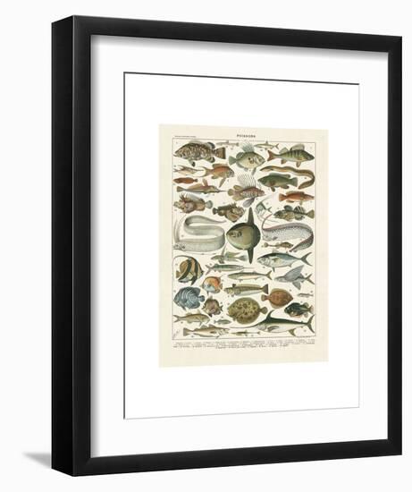 Poissons I-Adolphe Millot-Framed Art Print