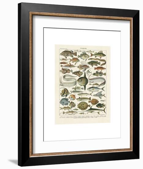 Poissons I-Adolphe Millot-Framed Art Print