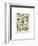 Poissons I-Adolphe Millot-Framed Art Print