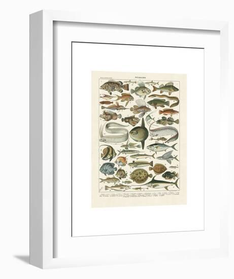 Poissons I-Adolphe Millot-Framed Art Print