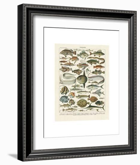 Poissons I-Adolphe Millot-Framed Art Print