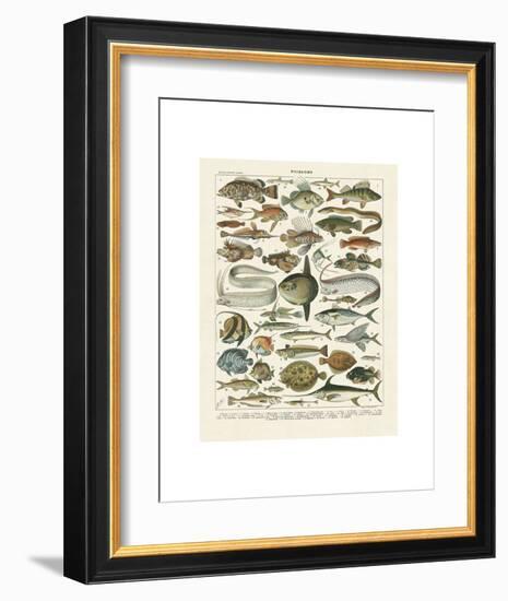 Poissons I-Adolphe Millot-Framed Art Print