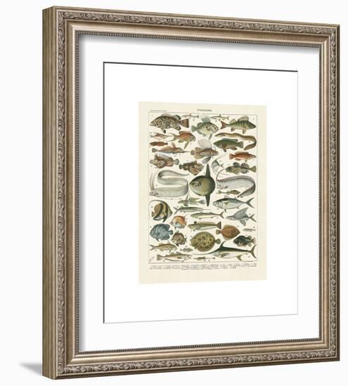 Poissons I-Adolphe Millot-Framed Giclee Print