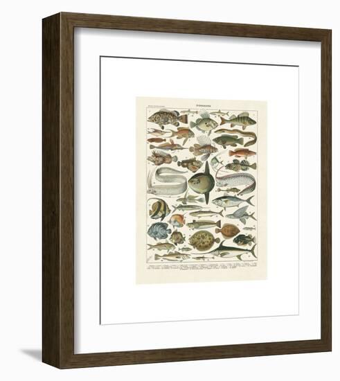 Poissons I-Adolphe Millot-Framed Giclee Print