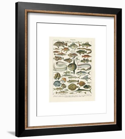 Poissons I-Adolphe Millot-Framed Giclee Print