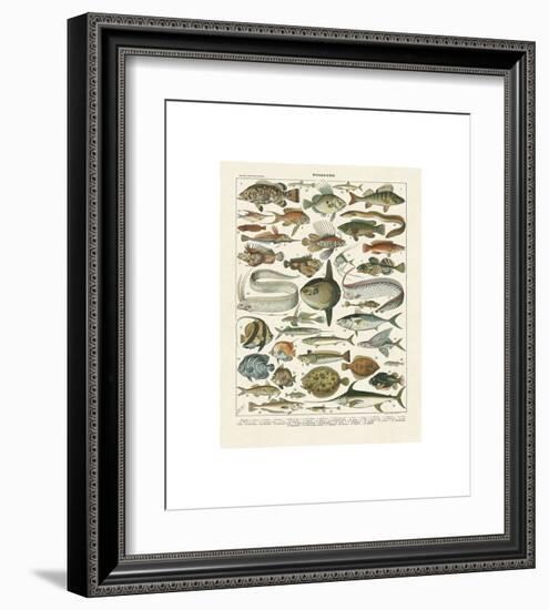 Poissons I-Adolphe Millot-Framed Giclee Print