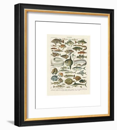 Poissons I-Adolphe Millot-Framed Giclee Print