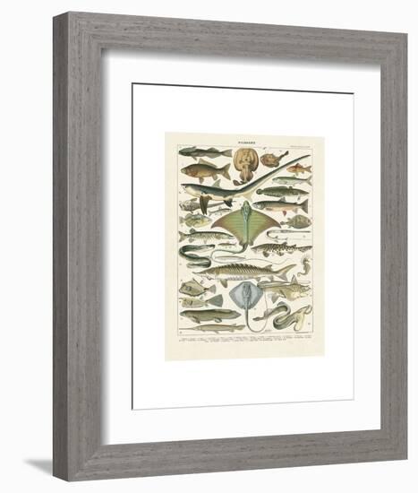 Poissons II-Adolphe Millot-Framed Art Print