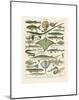 Poissons II-Adolphe Millot-Mounted Art Print