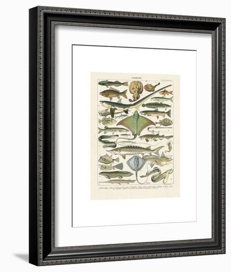 Poissons II-Adolphe Millot-Framed Art Print