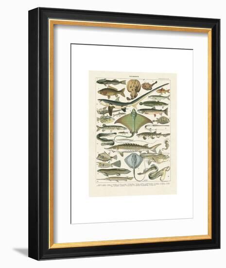 Poissons II-Adolphe Millot-Framed Art Print