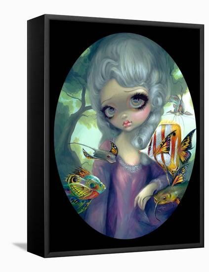 Poissons Volants: Le Portrait-Jasmine Becket-Griffith-Framed Stretched Canvas