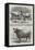 Poissy Cattle Show-Harrison William Weir-Framed Premier Image Canvas