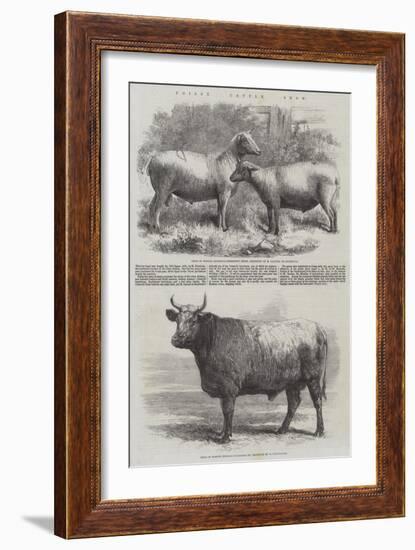 Poissy Cattle Show-Harrison William Weir-Framed Giclee Print