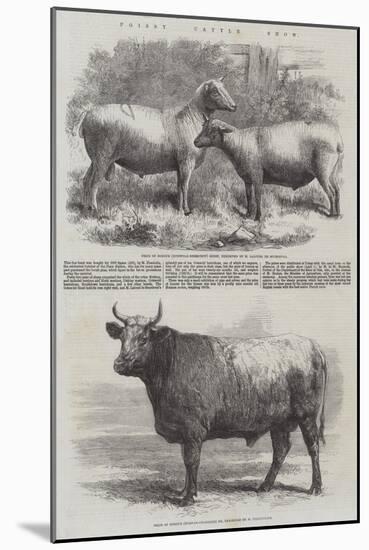 Poissy Cattle Show-Harrison William Weir-Mounted Giclee Print